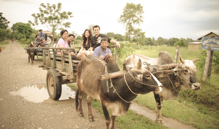 Bullock-cart- village- tour